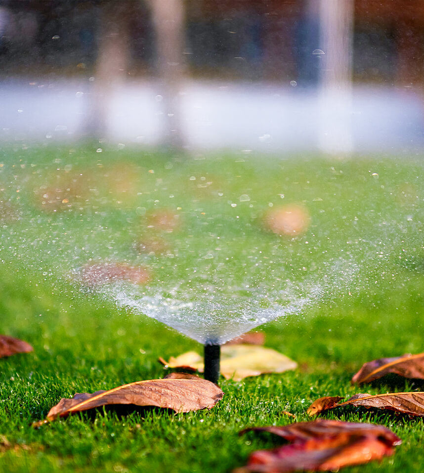 Garten Neu- und Umgestaltung