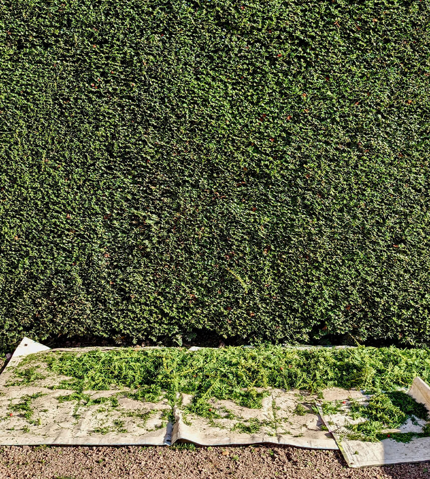 Garten Neu- und Umgestaltung